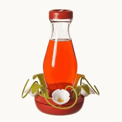Glass Bird Feeders