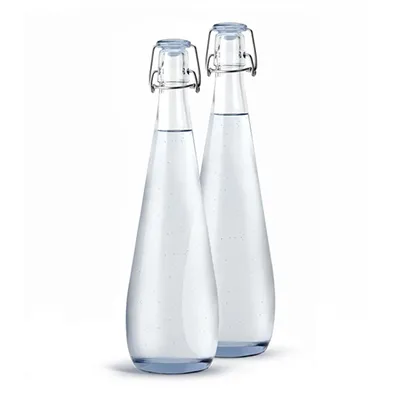 Glass Water Bottles