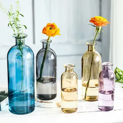 Hydroponic Plant Glass Vases & Glass Flower Pots