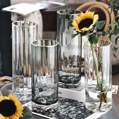 Hydroponic Plant Glass Vases & Glass Flower Pots